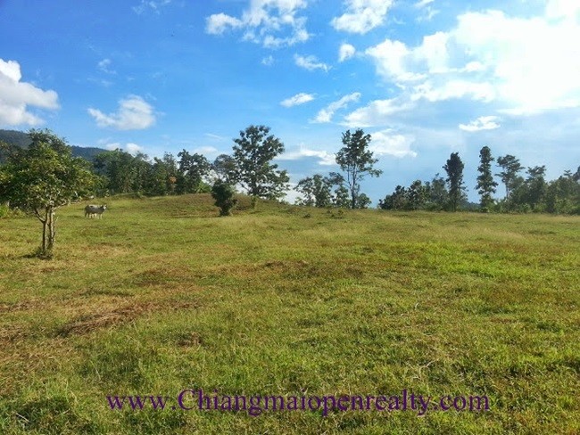 (English) [L35] Land for sale @Mae-on.
