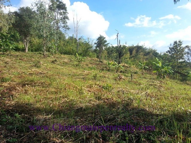 (English) [L35] Land for sale @Mae-on.