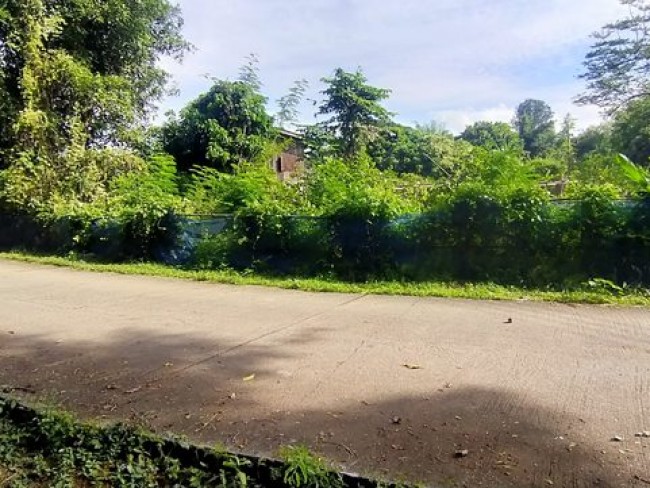 [L93] Land for Sale at Doi Saket District Chiangmai Province .,  30 minutesaway from city Near Tao Darden Health Spa & Resort