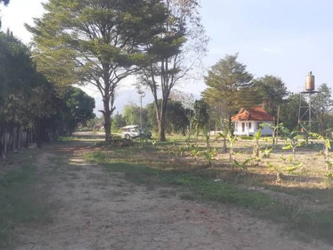 [L95]Land for Sale at Pa daet Subdistrict ,Saraphi District ,Chiang Mai ,ขาย ที่ดิน ต.ป่าแดด จังหวัดเชียงใหม่ ติดหมู่บ้านจัดสรร