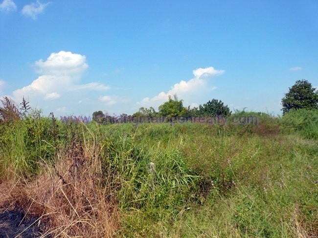 [L11] Land for Sale @ Lam Phun.