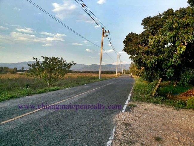 [L31] Land FOR SALE @ Phrao.