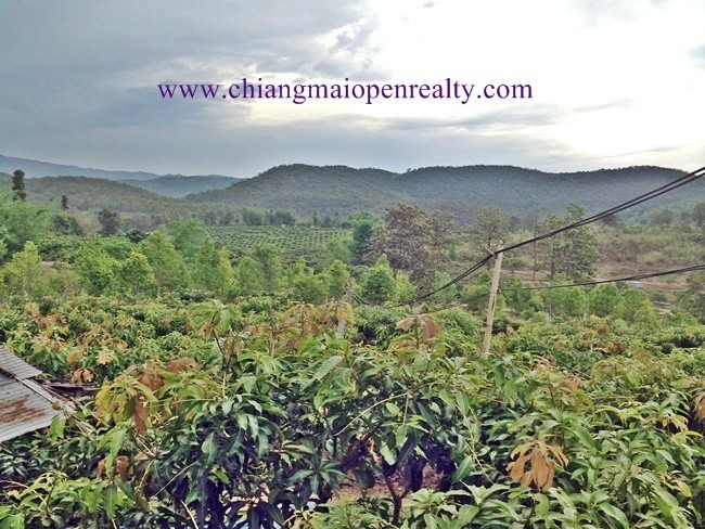 [L32]  Land and orchards FOR SALE@Phrao