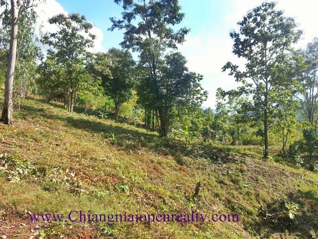 [L35] Land for sale @Mae-on.