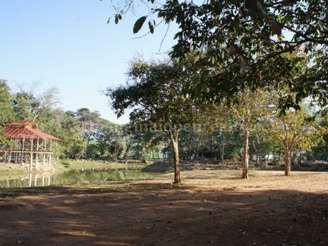 [L53] Land for sale with mountain views, lake and many aspects @ Doi Saket
