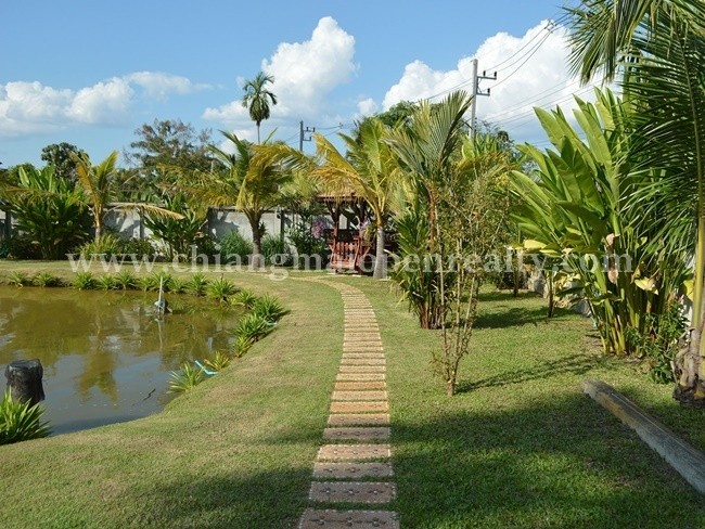 [H338] House on land area 4 rai for sale @ Sansai