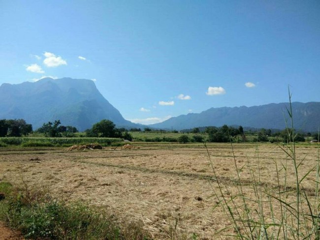 (English) [L62] LAND FOR SALE @ CHIANG DAO
