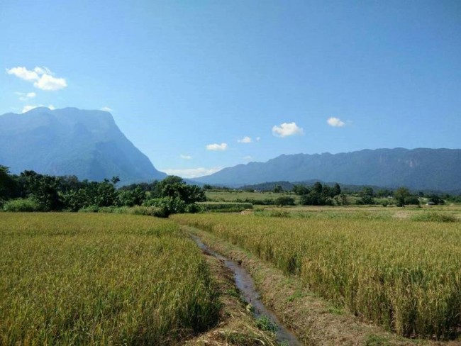 (English) [L62] LAND FOR SALE @ CHIANG DAO