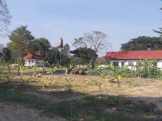 (Thai) [L95]Land for Sale at Pa daet Subdistrict ,Saraphi District ,Chiang Mai ,ขาย ที่ดิน ต.ป่าแดด จังหวัดเชียงใหม่ ติดหมู่บ้านจัดสรร